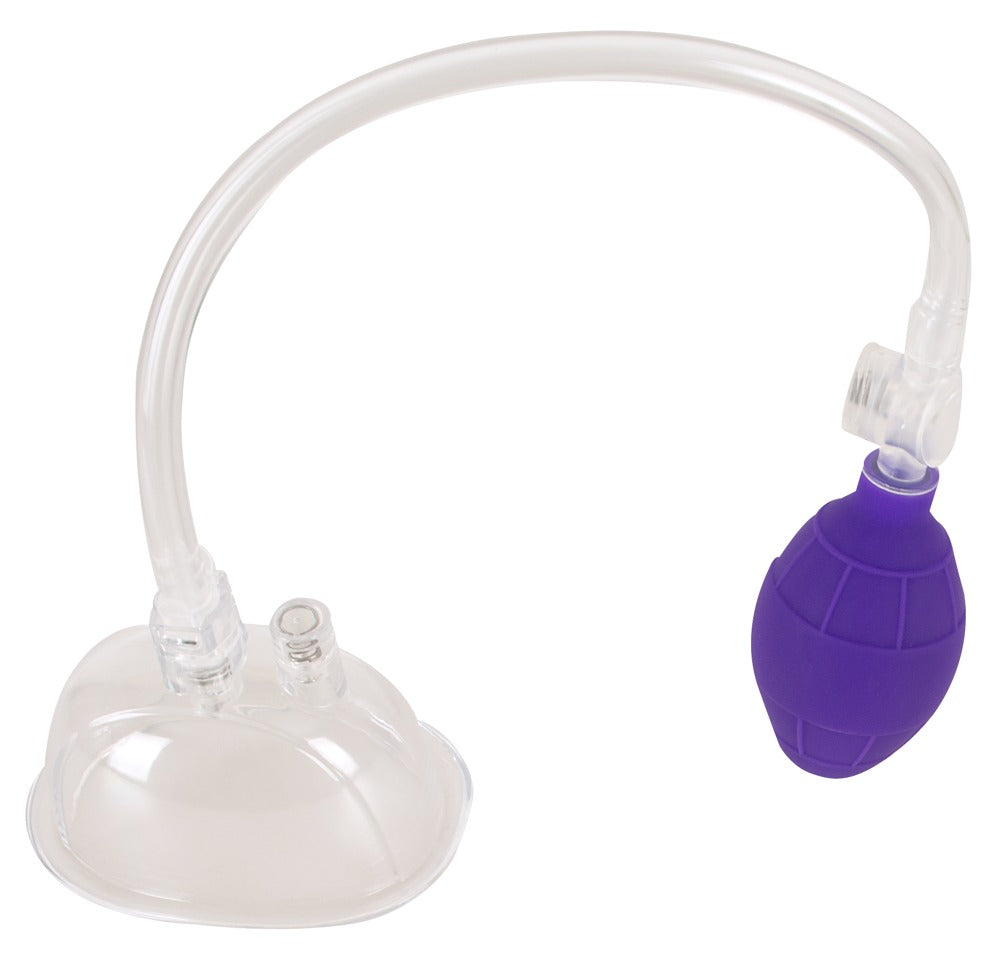 Bad Kitty Vulva-Saugschale mit Pumpball