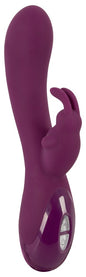 Sweet Smile G-Spot Rabbit Vibrator wasserdicht mit Klitorisarm