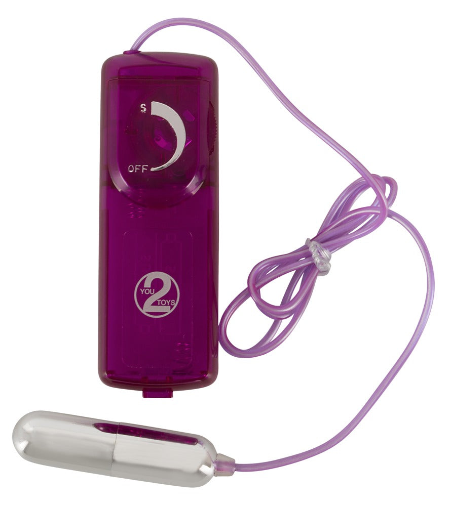 You2Toys Surprise Surprise Lovetoy-Set 12-teilig in Lila