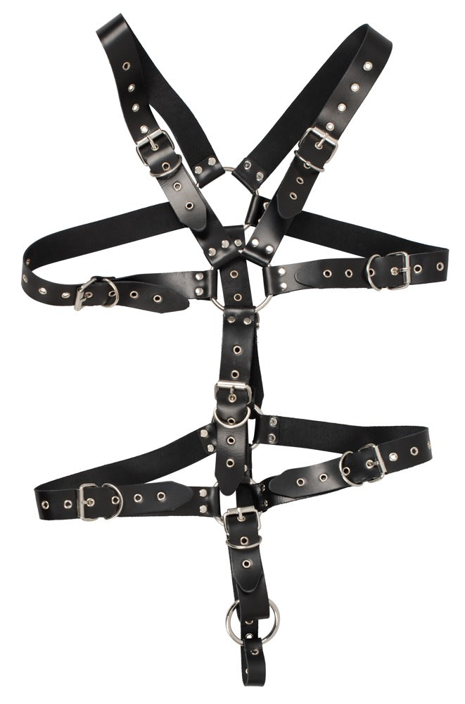 ZADO Herren-Harness mit Penisring