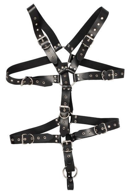 ZADO Herren-Harness mit Penisring