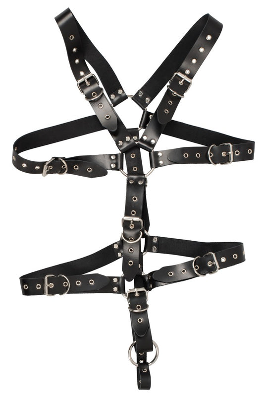 ZADO Herren-Harness mit Penisring