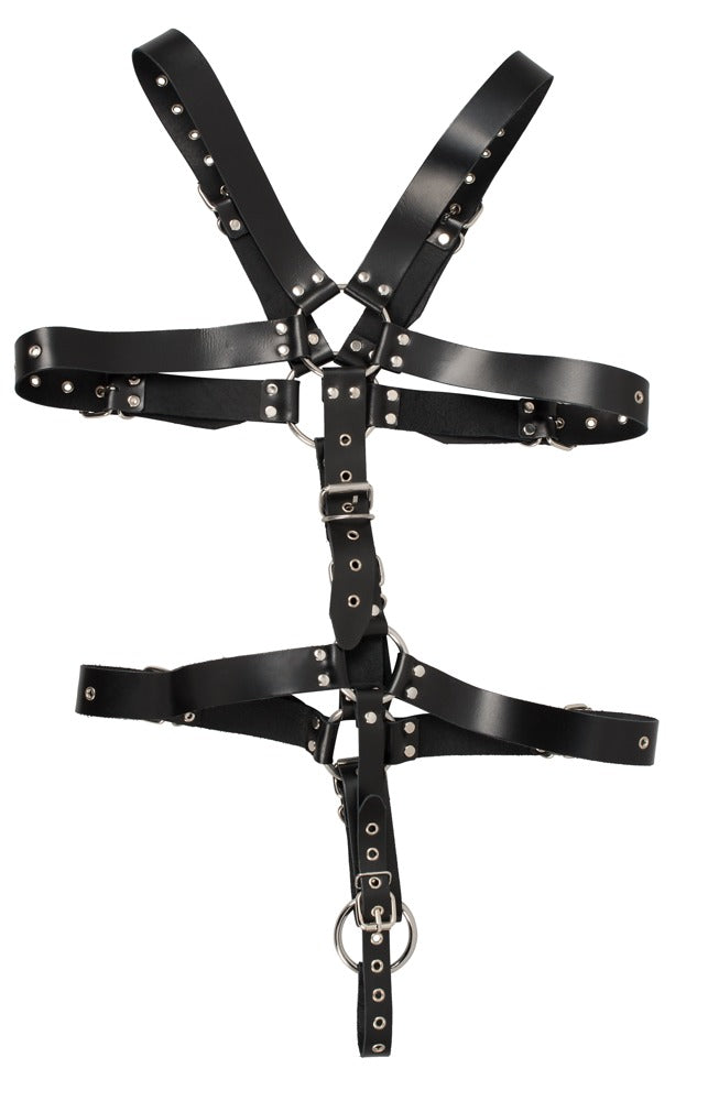 ZADO Herren-Harness mit Penisring