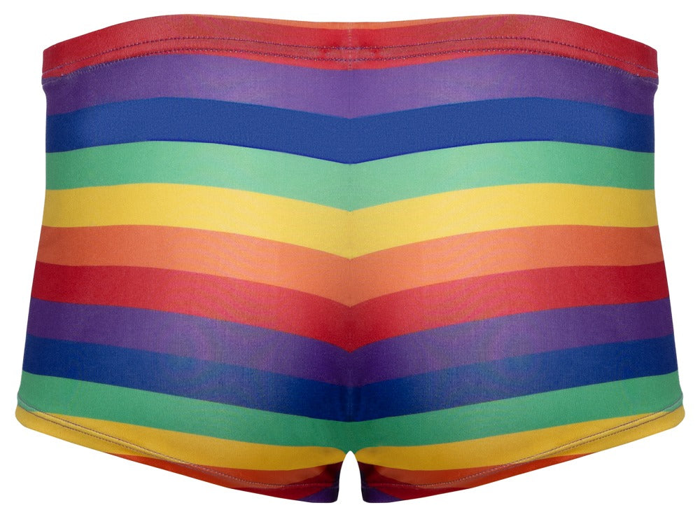 SVENJOYMENT Herren-Pants im Regenbogen-Look