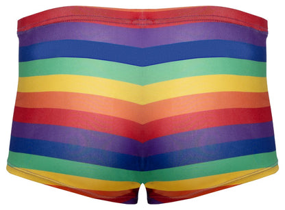 SVENJOYMENT Herren-Pants im Regenbogen-Look