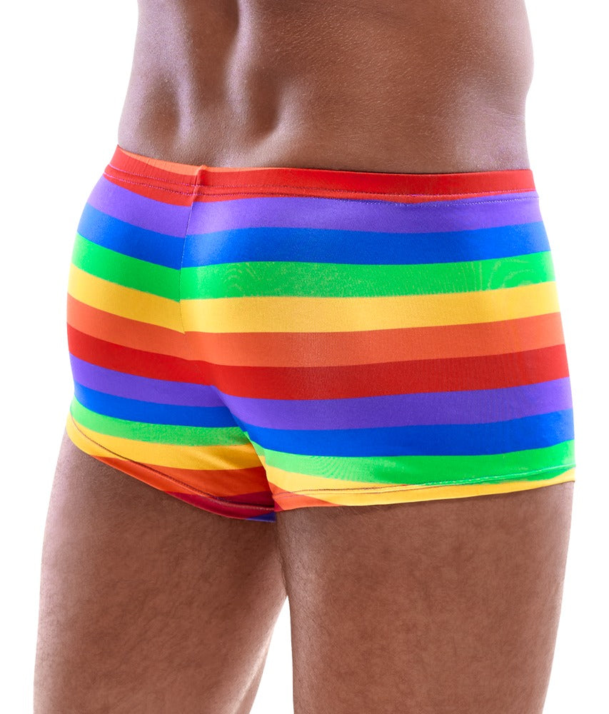 SVENJOYMENT Herren-Pants im Regenbogen-Look