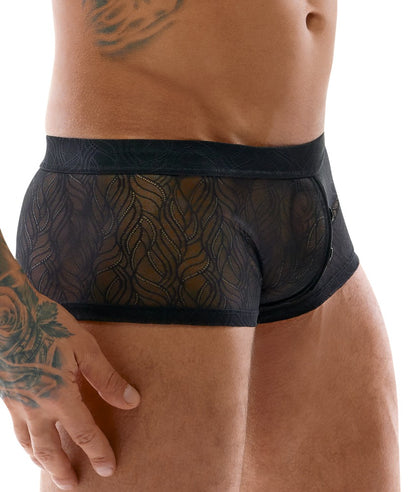 SVENJOYMENT Herren-Pants aus Spitze, transparent