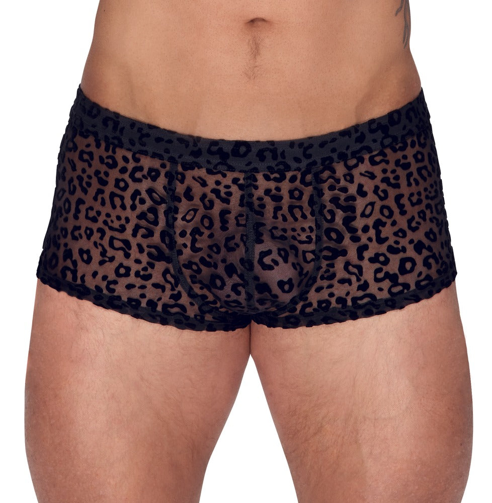 NOIR Herren-Pants im Leo-Look