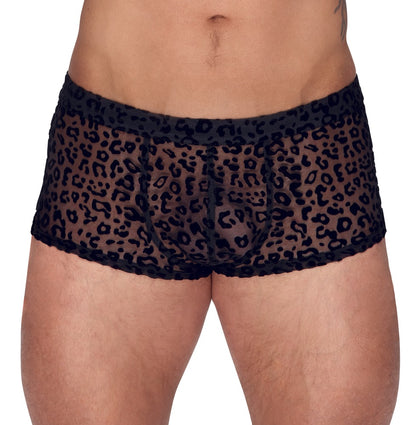 NOIR Herren-Pants im Leo-Look