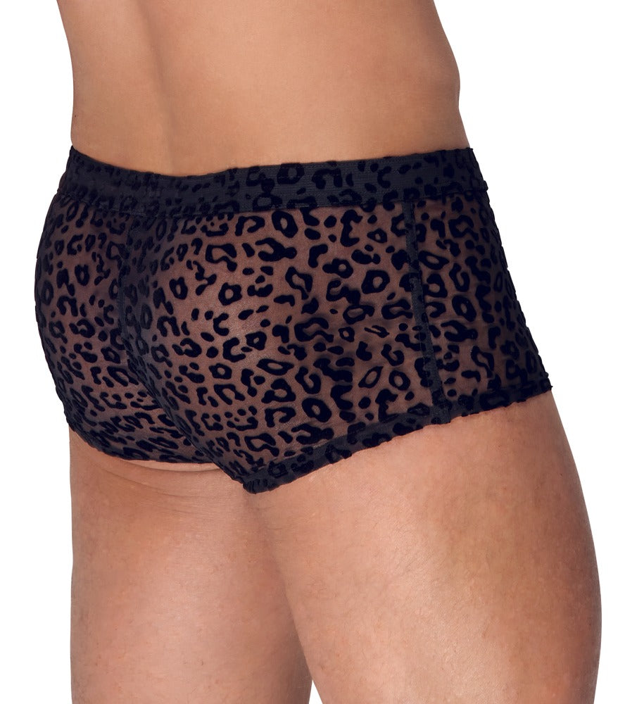 NOIR Herren-Pants im Leo-Look