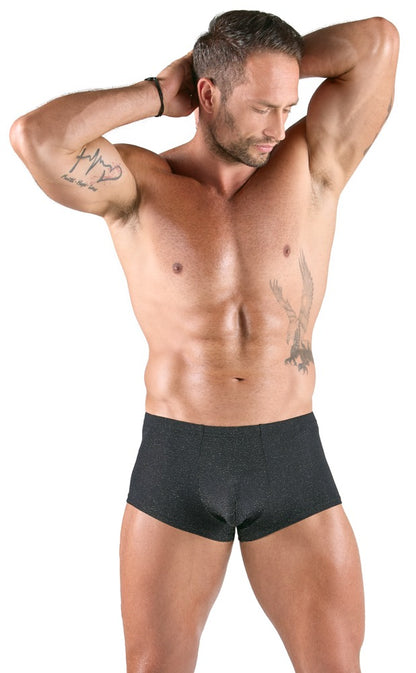 SVENJOYMENT Herren-Pants im Silber-Lurex-Look