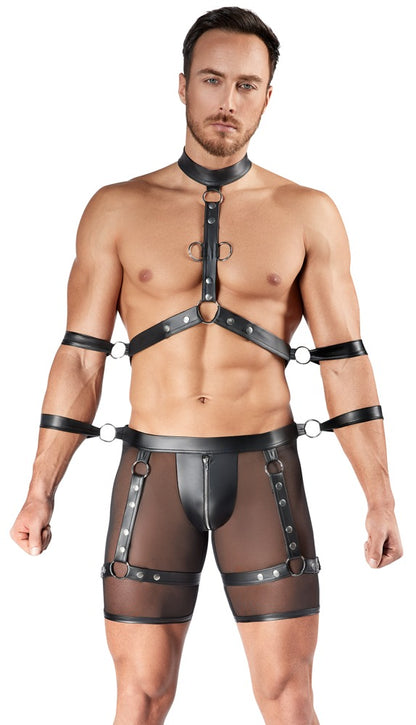 SVENJOYMENT Herren-Harness-Pants-Set mit 4 Fesseln