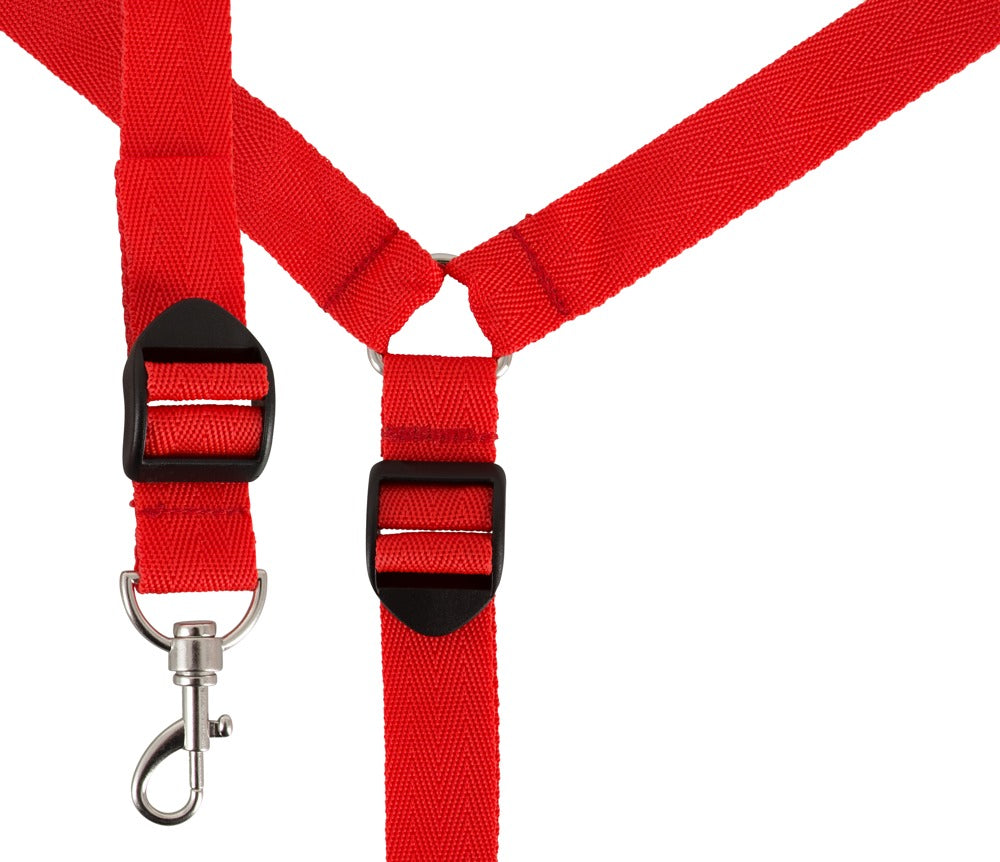 Bad Kitty Bettfessel-Set aus Lederimitat in Rot mit Riemenkreuz