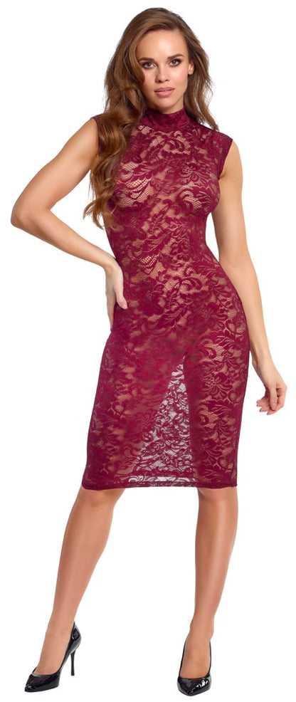 COTTELLI Spitzenkleid in Bordeaux, knielang