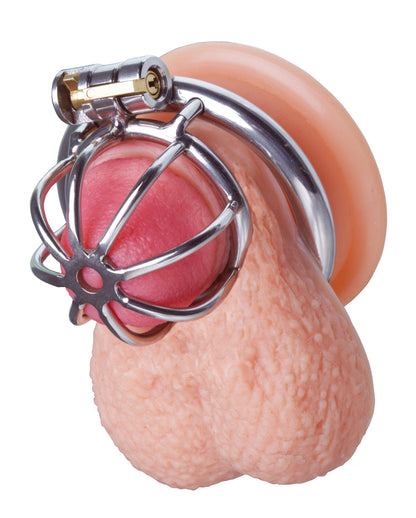 MALESATION Chastity Cage 40