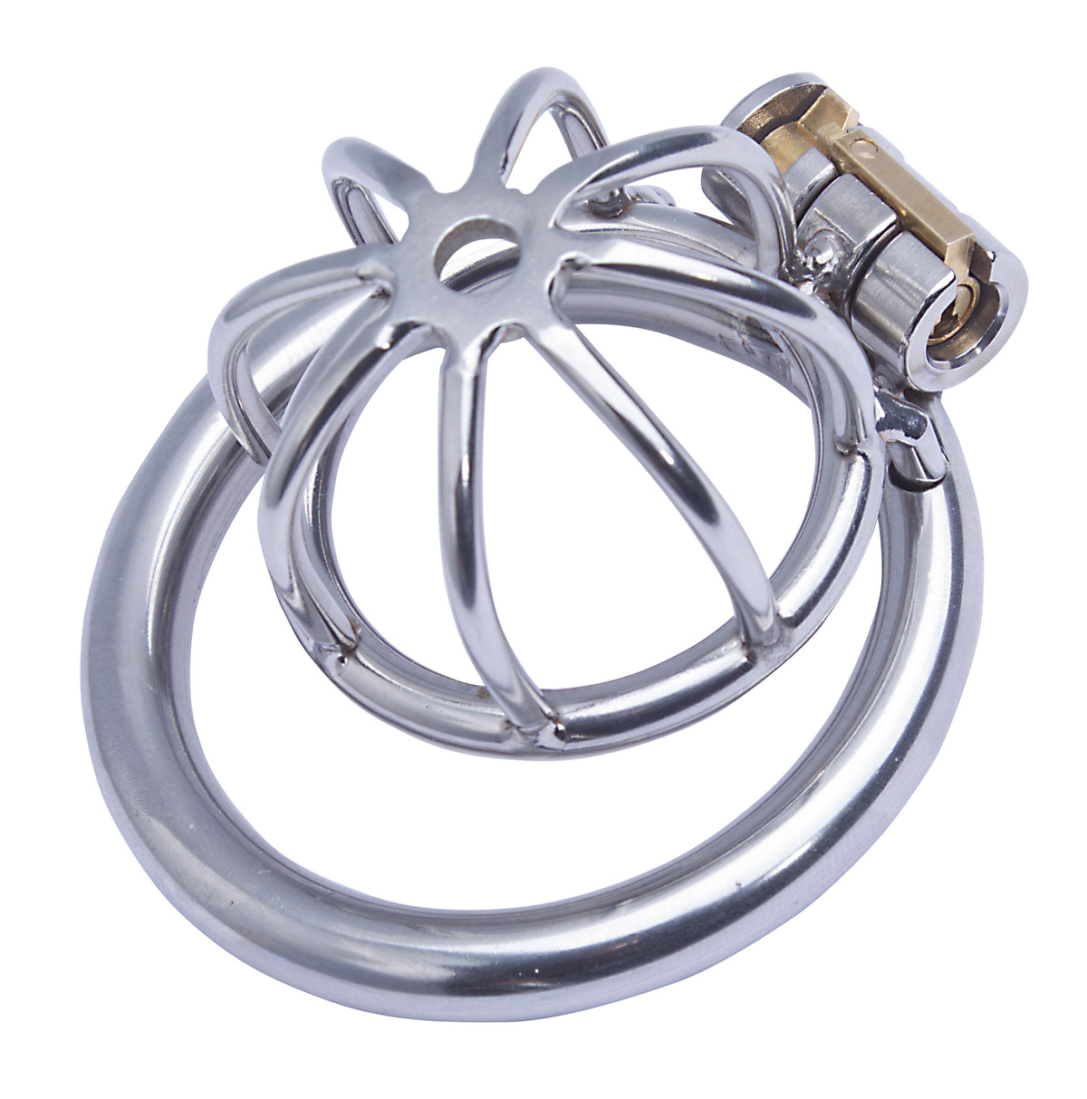 MALESATION Chastity Cage 40
