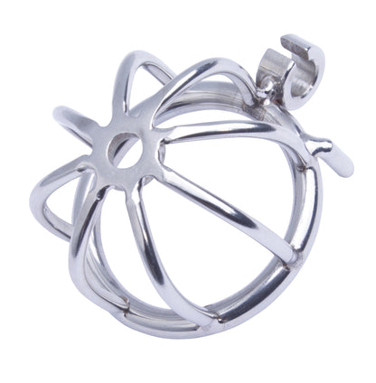 MALESATION Chastity Cage 40